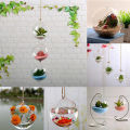 Hanging Ball Glass Flower Planter Vase Terrarium Container Landscape Bottle