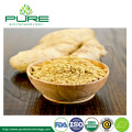 Organic Dried Ginger Powder