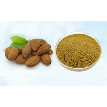 200g-1000g Vitamin B17 Supply Pure Bitter Apricot Seed extract 30:1 amygdalin, Anti-aging ,Almond Apricot Kernel