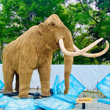 Animatronic Mammoth for Sale