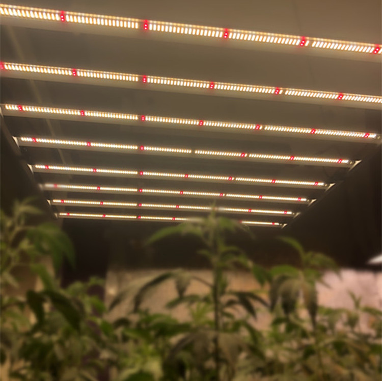 Newest Professional 640W LM301H LED Grow Light Bar