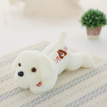 32cm white dog