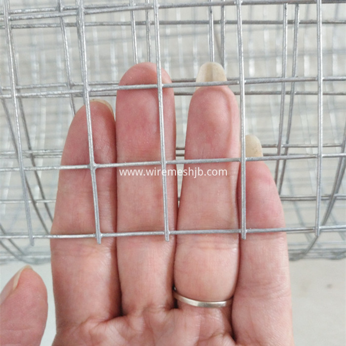 Galvanized Welded Wire Mesh