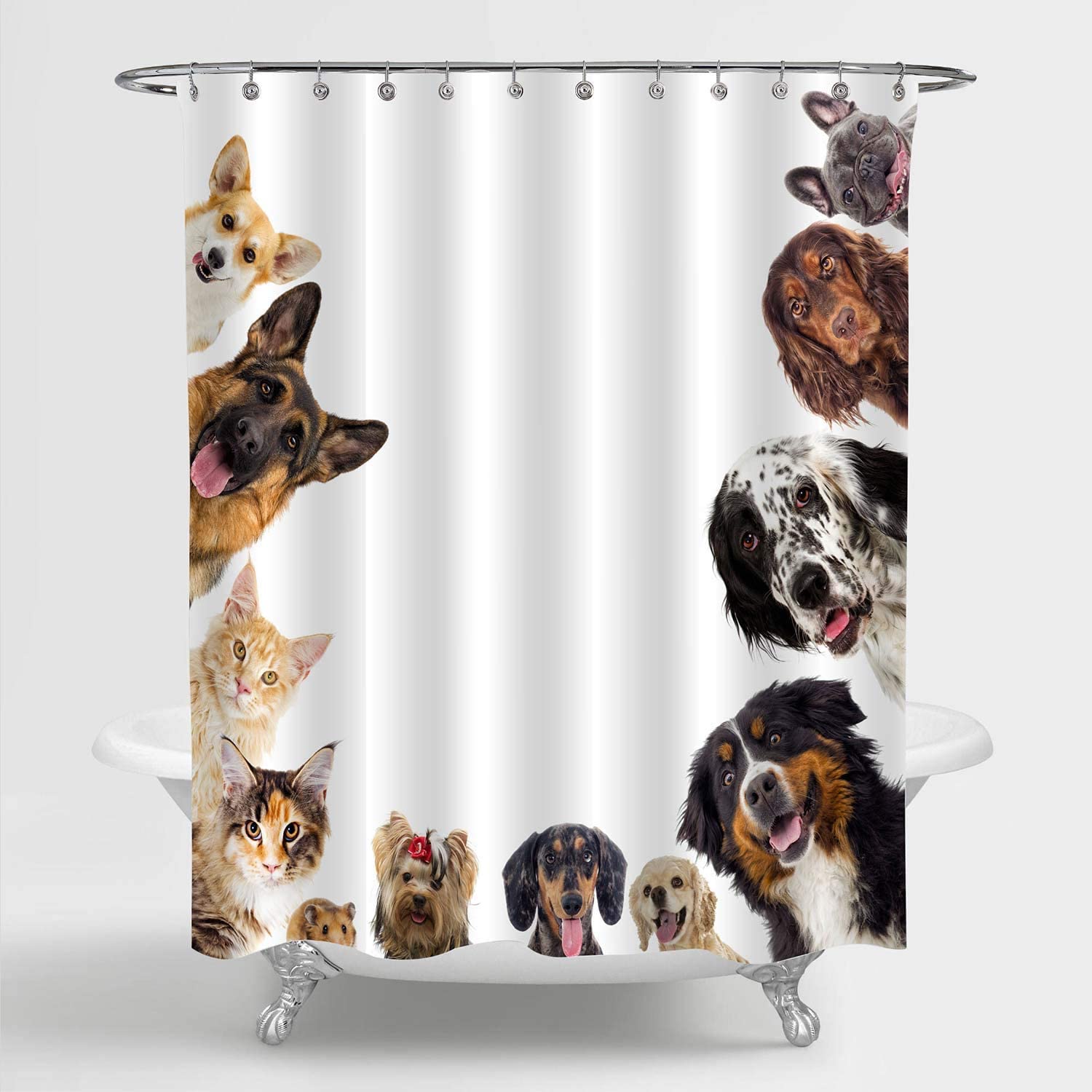 Cats and Dogs Shower Curtain for Pet Bathroom Decor, Funny Group of Dogs and Cats Peeking Bathroom Accessories with 12 hooks