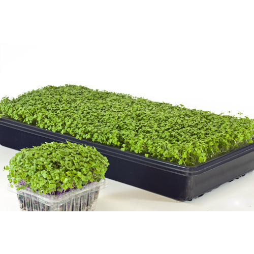 Hydroponic Seedling Planting Greenhouse Plastic Seed Tray Manufacturers and Hydroponic Seedling Planting Greenhouse Plastic Seed Tray Suppliers