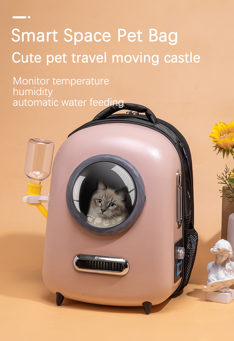 Pet Travel Carrier