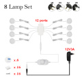 8 lamp Set-Dimming