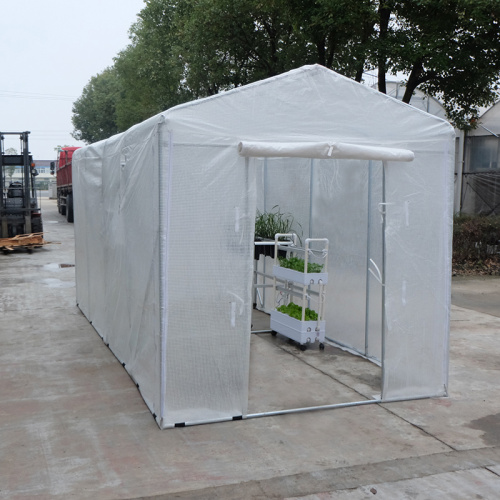 Skyplant Most Popular Compact Walk-in Polytunnel Greenhouse Manufacturers and Skyplant Most Popular Compact Walk-in Polytunnel Greenhouse Suppliers