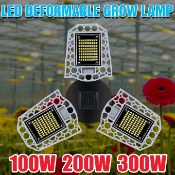 LED Sunlight Plant Light Bulb E27 Flower Hydroponics Grow Lamp 100W 200W 300W Seedling Fito Lamp LED Phyto Seed Growth Tent 220V
