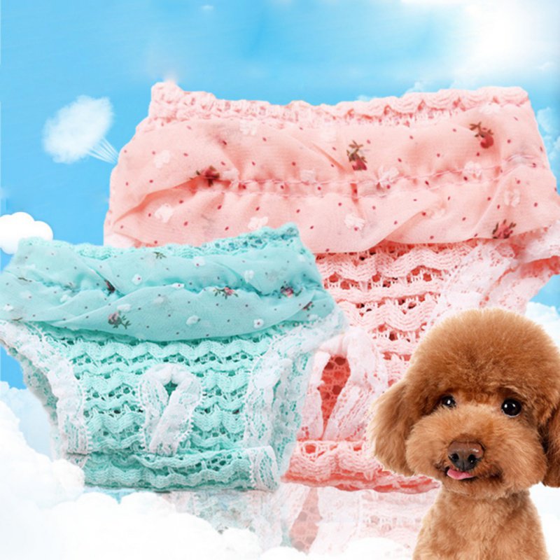 Lace Pet Dog Physiological Pants Dog Diapers Chiffon Princess Puppy Safety Sanitary Shorts Dog Underwear Panties Pet Products