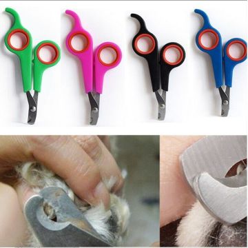 NEW Pet Nail Cutter Toe Scissors Dog Care Tool Trimmer Cat Rabbit Nail Paw Animal Gerbid Bird Parrot Shear
