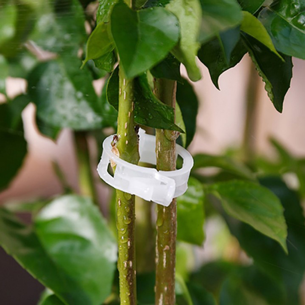50PCS/Set Reusable Plastic Plant Support Clips Plants Hanging Vine Garden Greenhouse Vegetables Tomatoes Clip