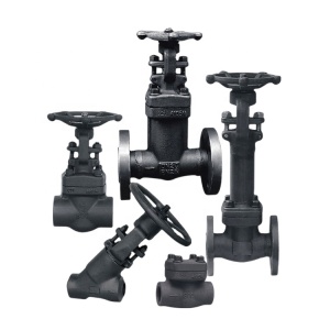 High Pressure Forged Steel Globe Valve