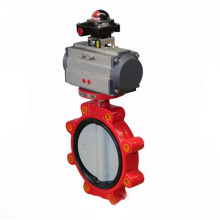 Vacuum Ductile Iron Stainless Steel Butterfly Valve