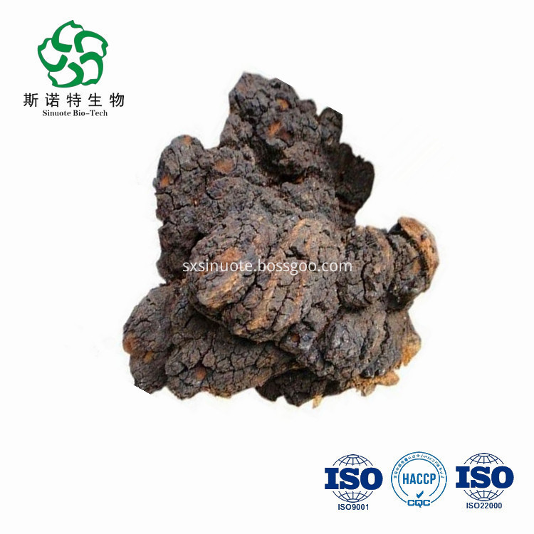 Chaga Mushroom Powder For Food Chaga Mushroom Powder For Food