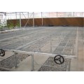 Agriculture Seed rolling bench For Greenhouse