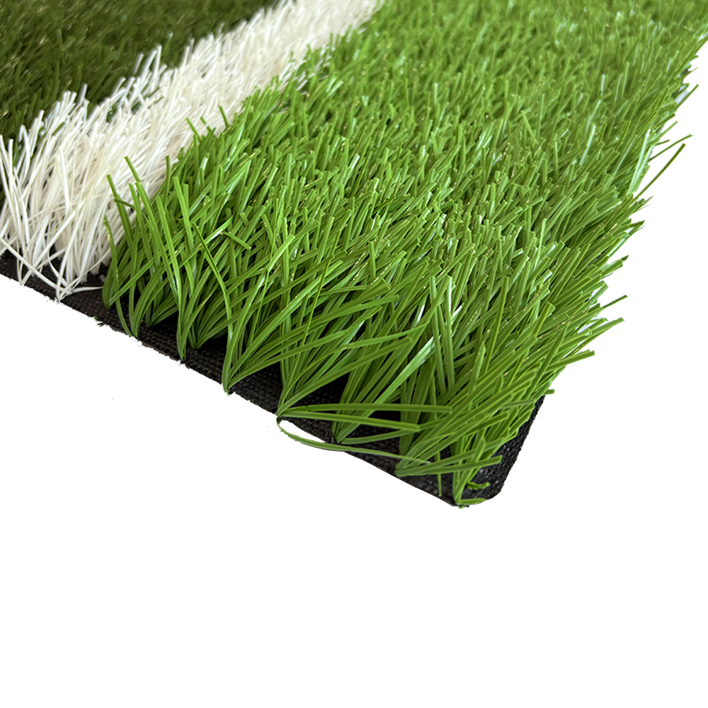 Football grass  L6P0