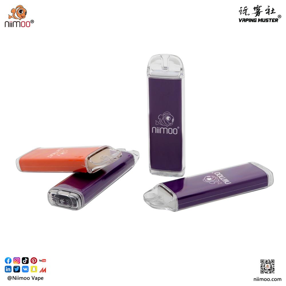 Disposable E Cigarette