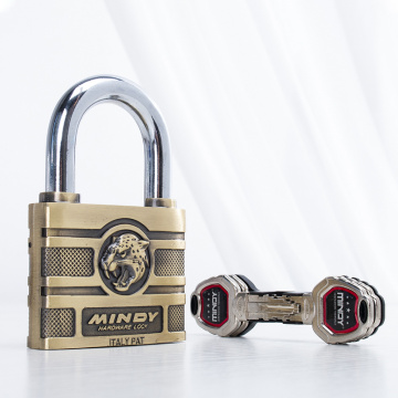 APL 60mm Hardened Keyed Hardware Padlock with 4 Special Keys for School Gym Locker, Sports Locker, Fence, Toolbox, Gate, Case