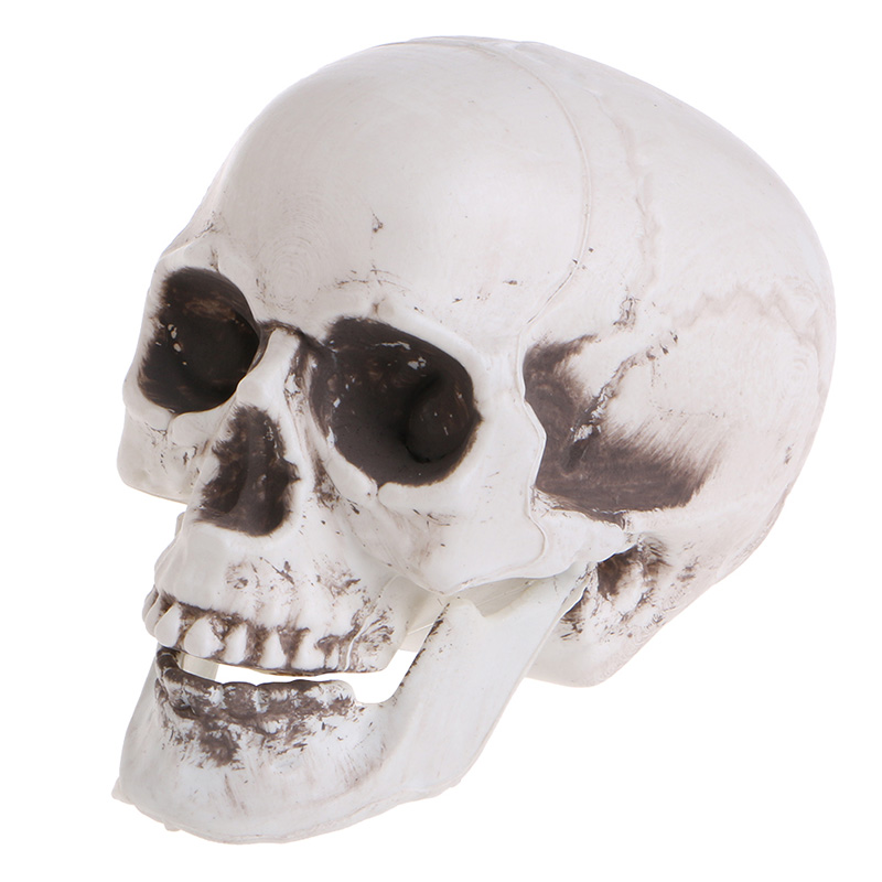 Plastic Human Mini Skull Decor Prop Skeleton Head Halloween Coffee Bars Ornament R9JA