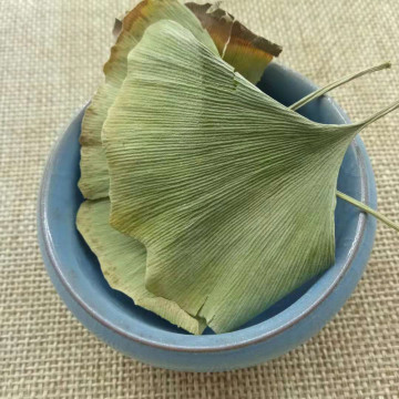 Ginkgo Biloba Leaves Tea Chinese Ginkgo Tea,Green Herbal Green Leaves Tea