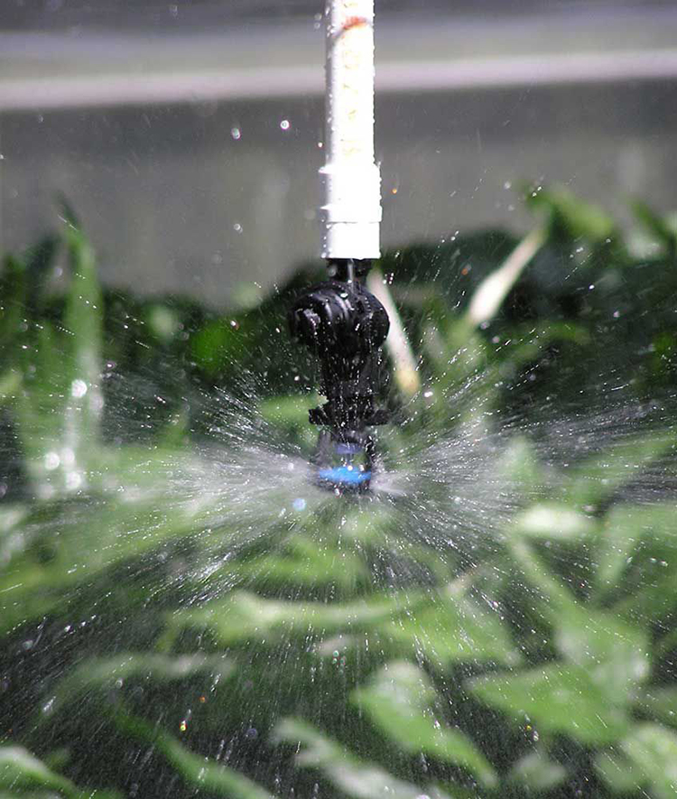 Irrigation Micro Sprayer for greenhouse irrigation system