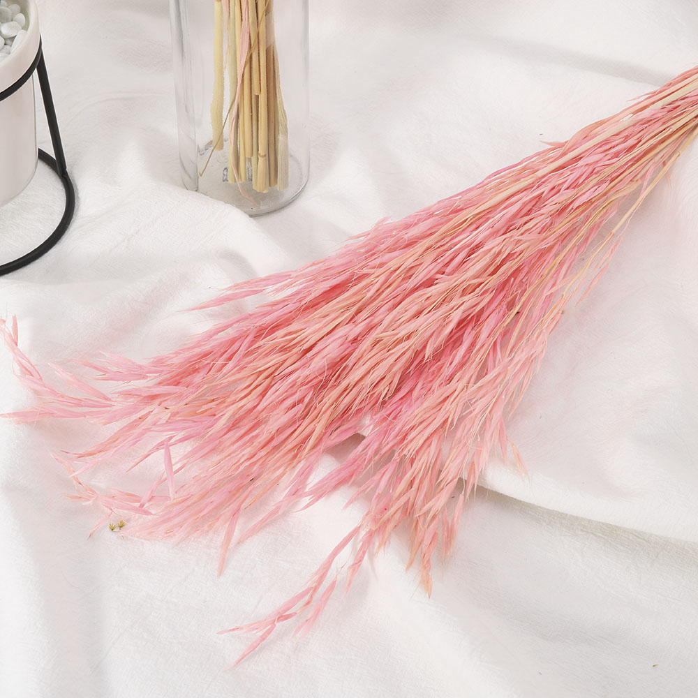 A Bunch Wheat Flower Decoration Natural Pampas Rabbit Tail Grass Dried Flowers for Wedding Party DIY Craft Scrapbook Bouquet