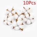 10pcs-cotton heads