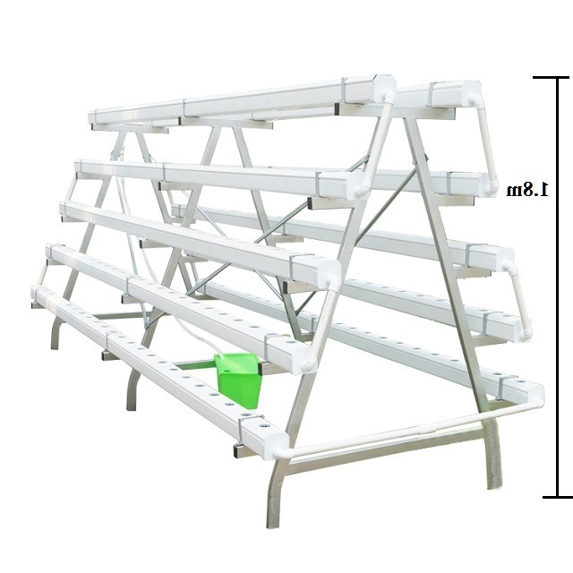 Large-Flat-NFT-Hydroponic