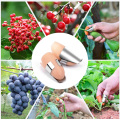 2 set Silicone Finger Stainless Steel Silicone Thumb Knife Separator Finger Knife Harvesting Plant Knife Vegetable Tools new