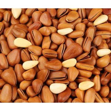 Delicious Open Pine Nuts