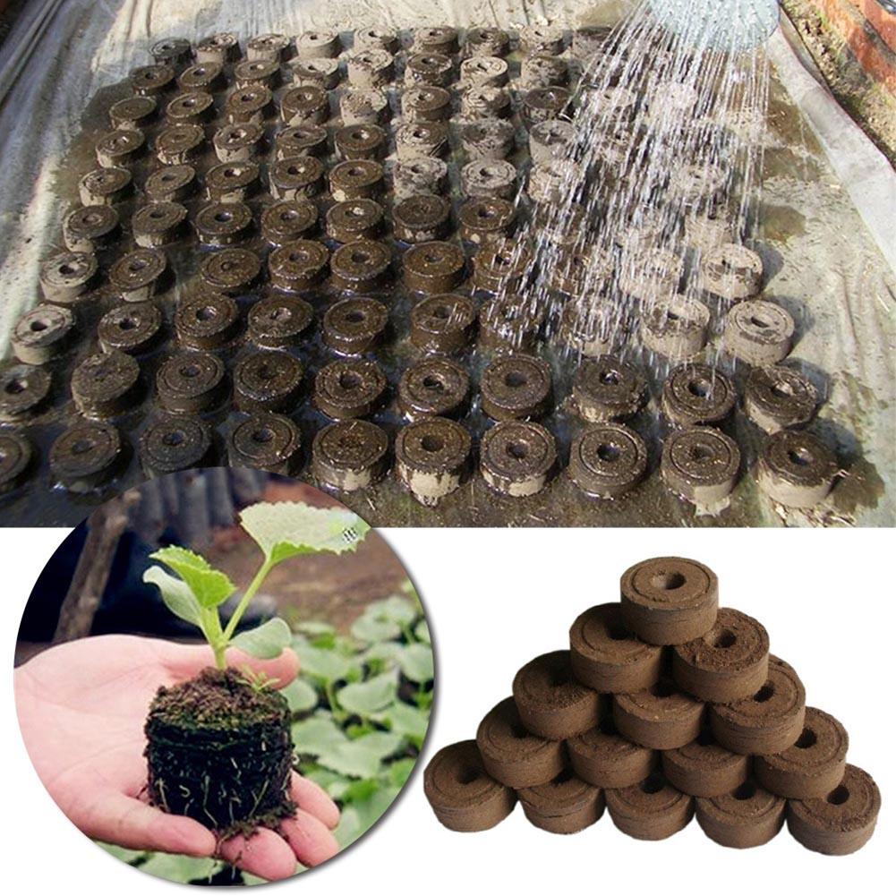 30mm Nutrient Soil Block Jiffy Peat Pellets Grain Starting Plugs Pallet POE Seed Starting Plugs Pallet Seedling Soil 1/5/10pcs