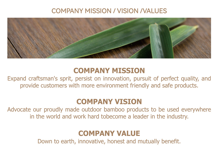 company vision