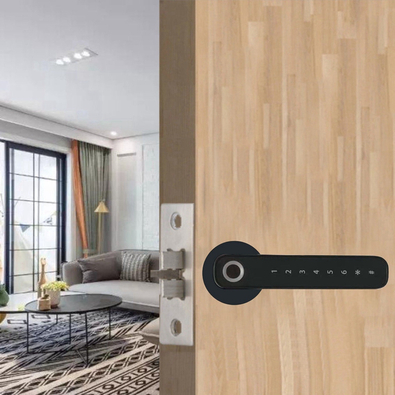 Bluetooth Fingerprint Smart Lock Biometric Automatic Unlock App Keyless Entry Door Lock For Home/Hotel/Apartment