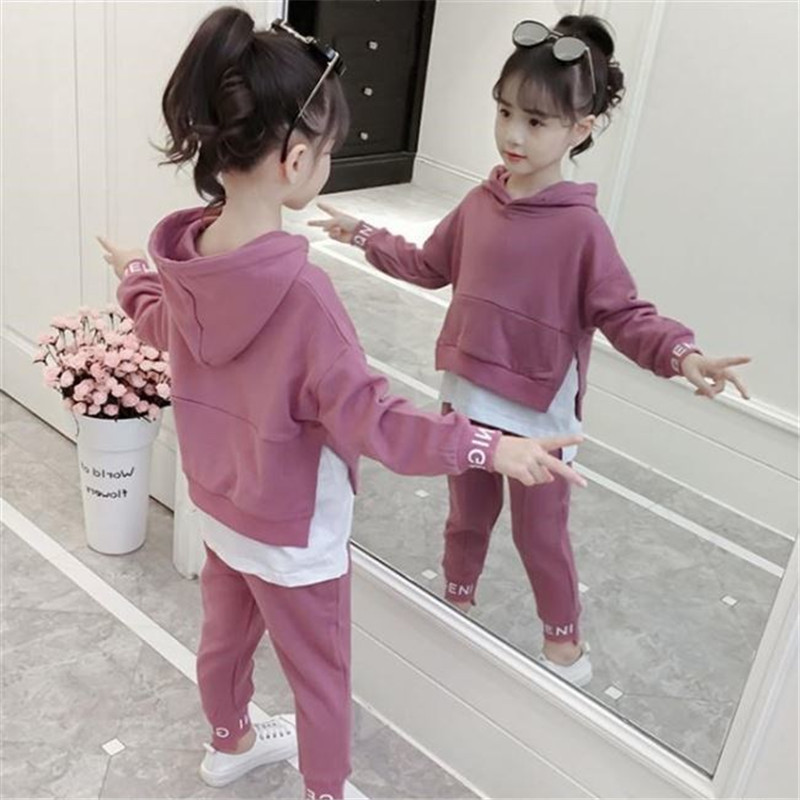 Girls Autumn Clothing Suit Hooded Sweatshirt Pants Children Clothes Set Girls Cotton Outfit Kids Tracksuits Girls Casual Set