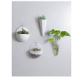 Water culture wall hanging flower pot
