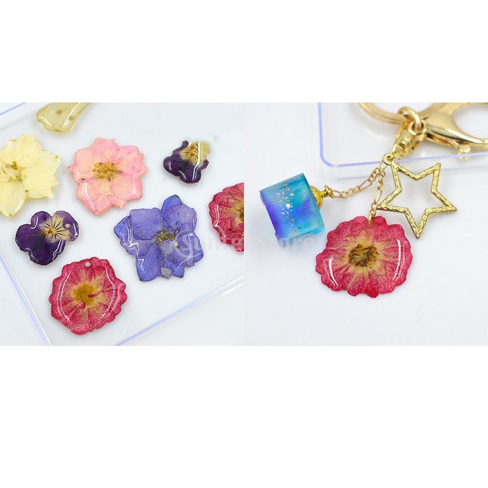 Variety Kinds of Beautiful Real Pressed Flower Leaves Dried Flowers for Art Craft Scrapbooking Resin Jewelry Bookmark Phone Case