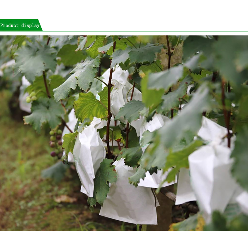 20 PCS Non-woven Fabrics Bird Bees Insect Repenller Film Fruit Grape Protector Pest Control Organic Fruit Plant Cover Bag GT123