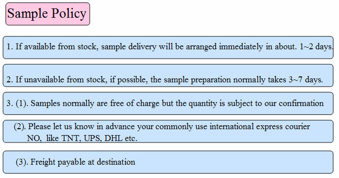 Sample Policy