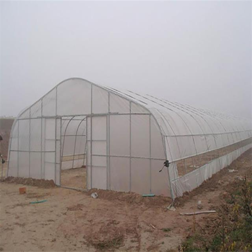 Film Single span greenhouse for vegetables Manufacturers and Film Single span greenhouse for vegetables Suppliers