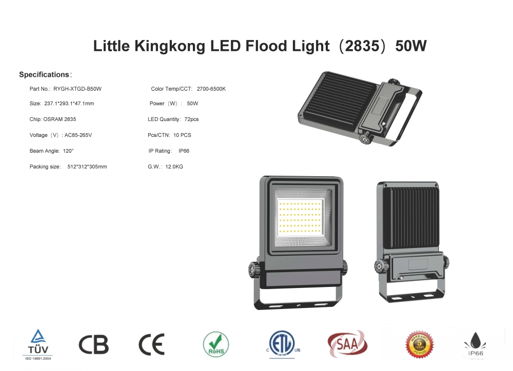 led flood light specifications-RYGH-20214