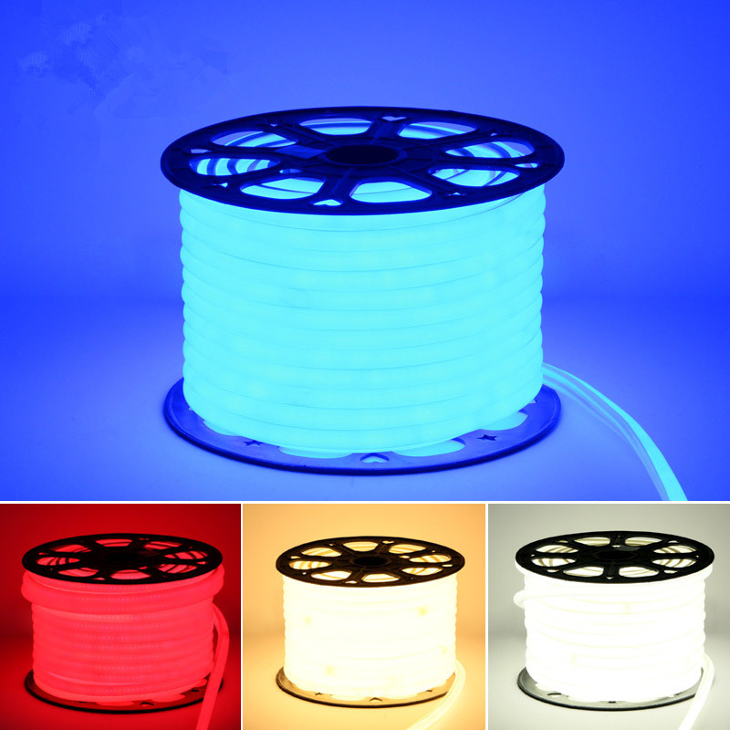 AC 220V 230V led neon rope strip ribbon light 2835 tape waterproof ip65 ip67 with power plug RGB warm white blue green red pink