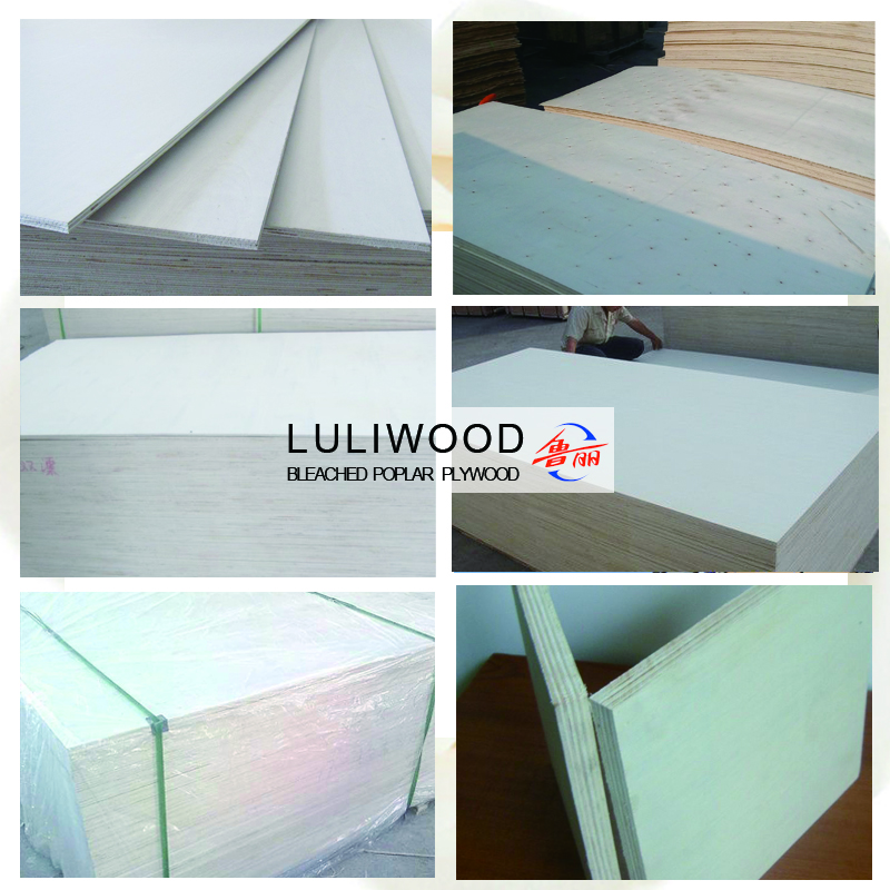 bleached poplar commercial plywood bleached poplar commercial plywood