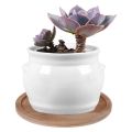 Round Bamboo Wood Saucer Plant Tray Mini Plant Flower Pot Stand Favor Succulent Pot Tray Simple Elegant Design Home Balcony Deco
