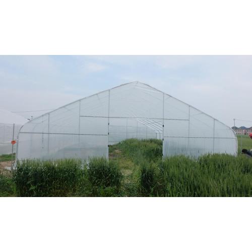 Buy Tunnel Greenhouse,Hoop Greenhouse For Vegetable Manufacturers and Buy Tunnel Greenhouse,Hoop Greenhouse For Vegetable Suppliers