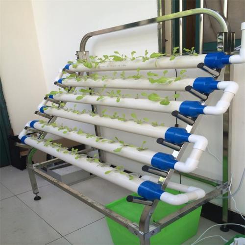 Home Garden Grow Kit Indoor System Manufacturers and Home Garden Grow Kit Indoor System Suppliers