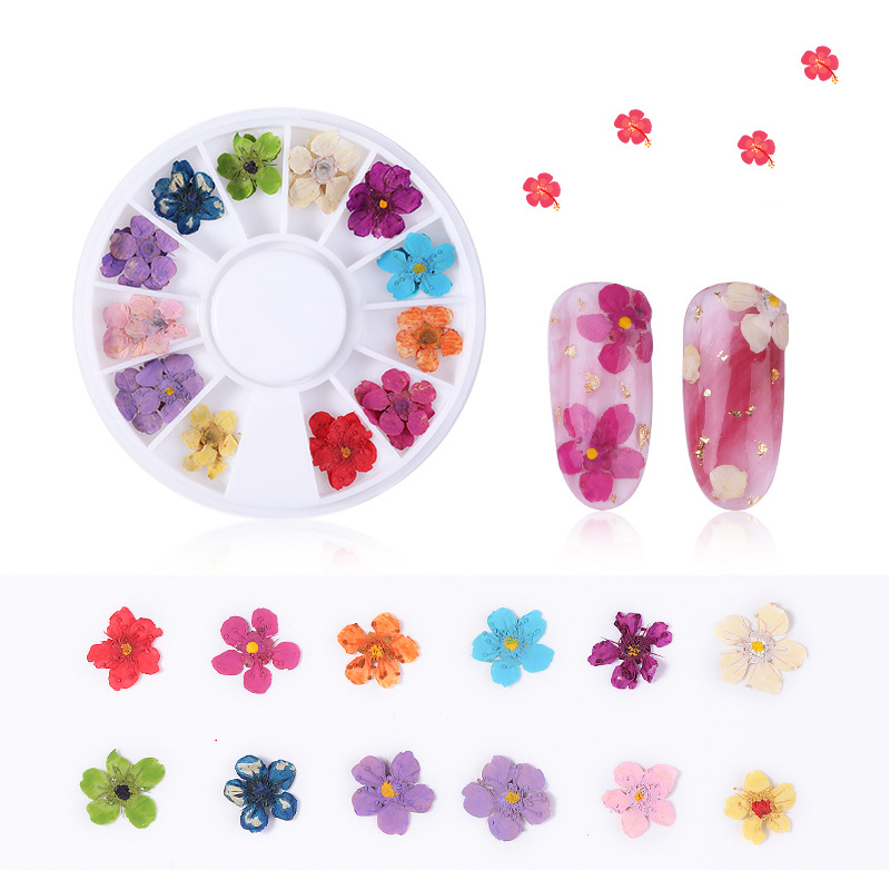 1 Box 3D Dried Flower Nail Decoration Natural Floral Sticker Mixed Dry Flower DIY Nail Art Decals Jewelry UV Gel Polish Manicure