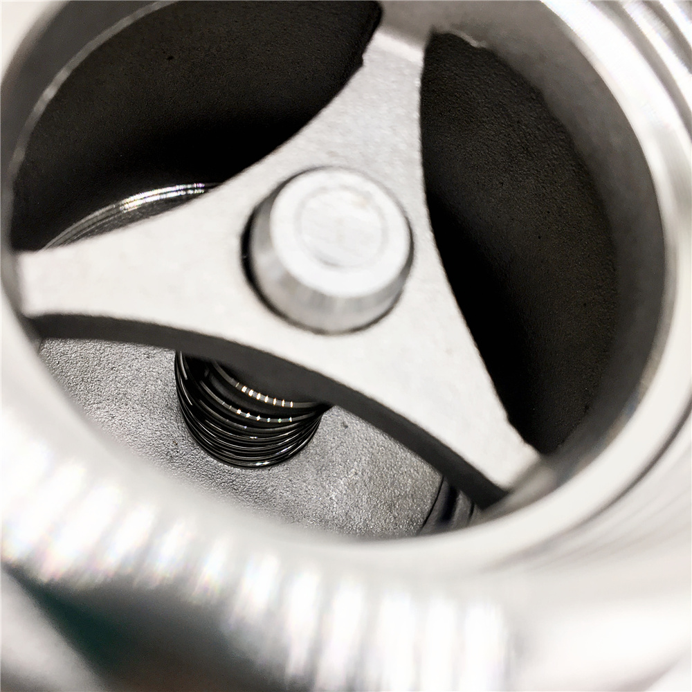 Vertical Check Valve7