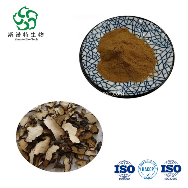 Polyporus Umbellatus Mushroom Extract
