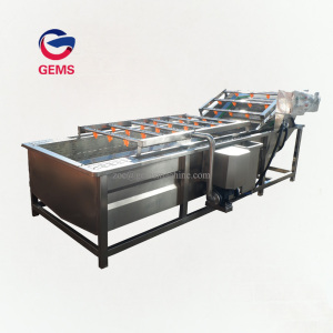 Lettuce Cleaning Kelp Washer Machine Leek Washer Machine